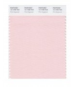 Pantone Swatch Card