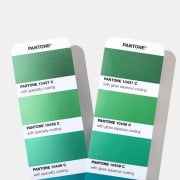 Pantone Metallics Guide GG1507B ( 8000 ve 10000 li Seri Set )