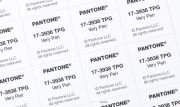 PANTONE LARGE PAPER SWATCH 17-3938 TPG