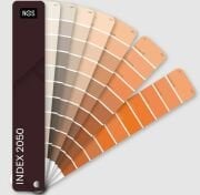 NCS Index 2050